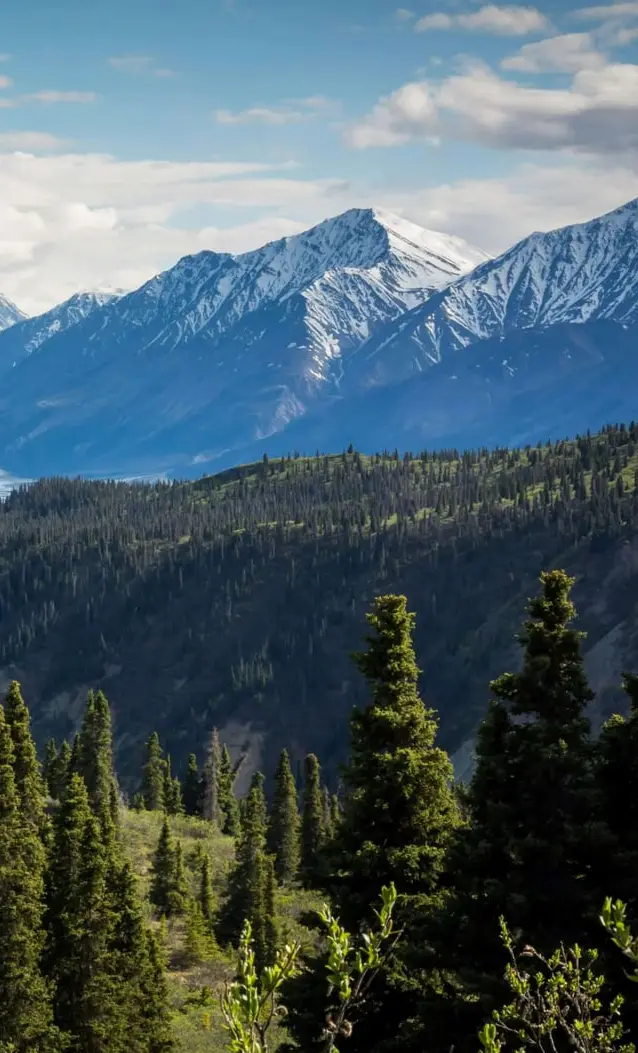 Himalayan mountains