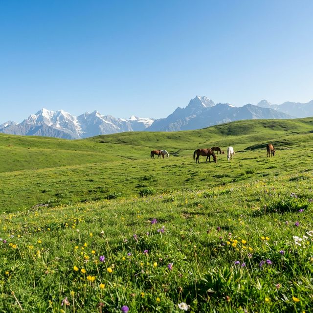 Endless Alpine Meadows