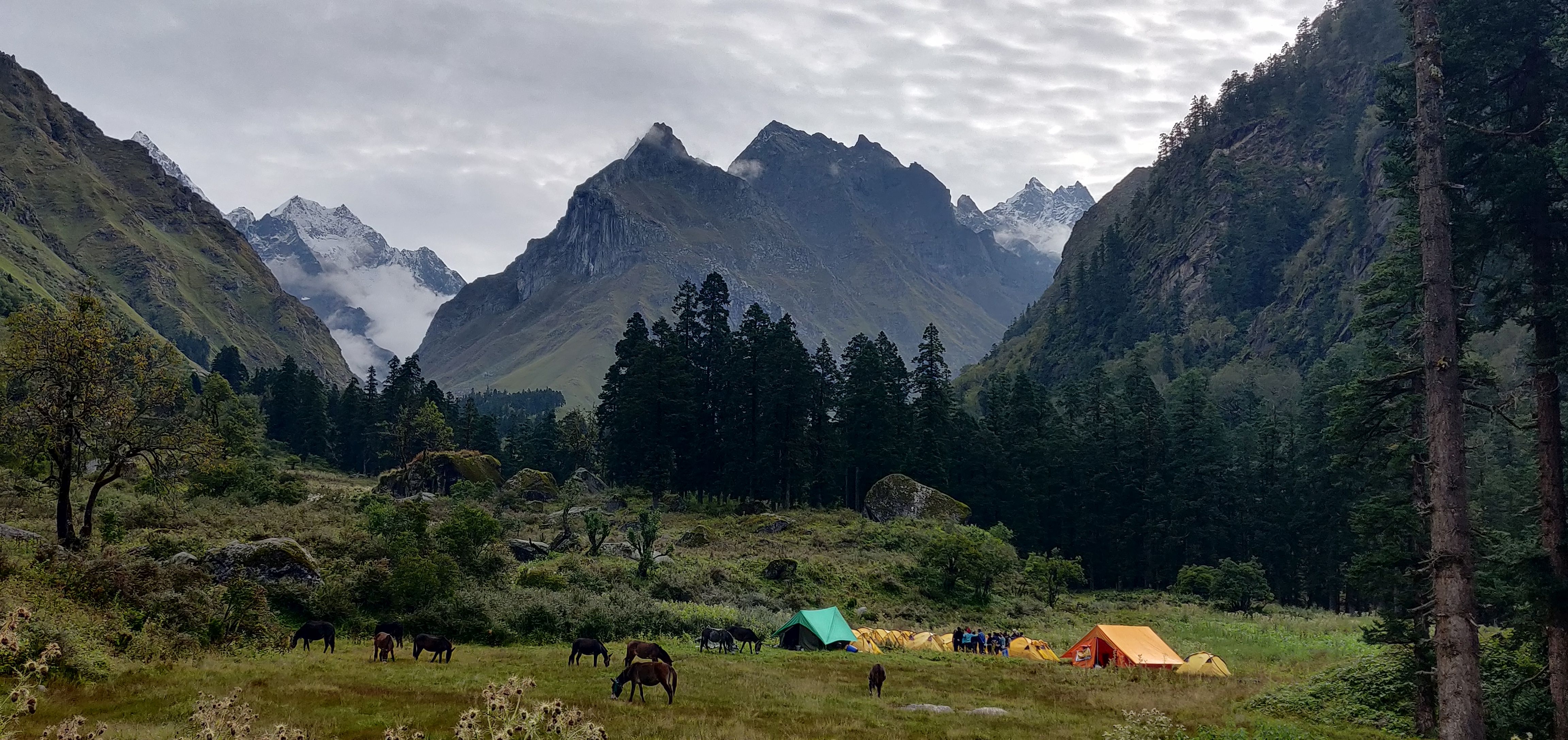 Mountain landscape view