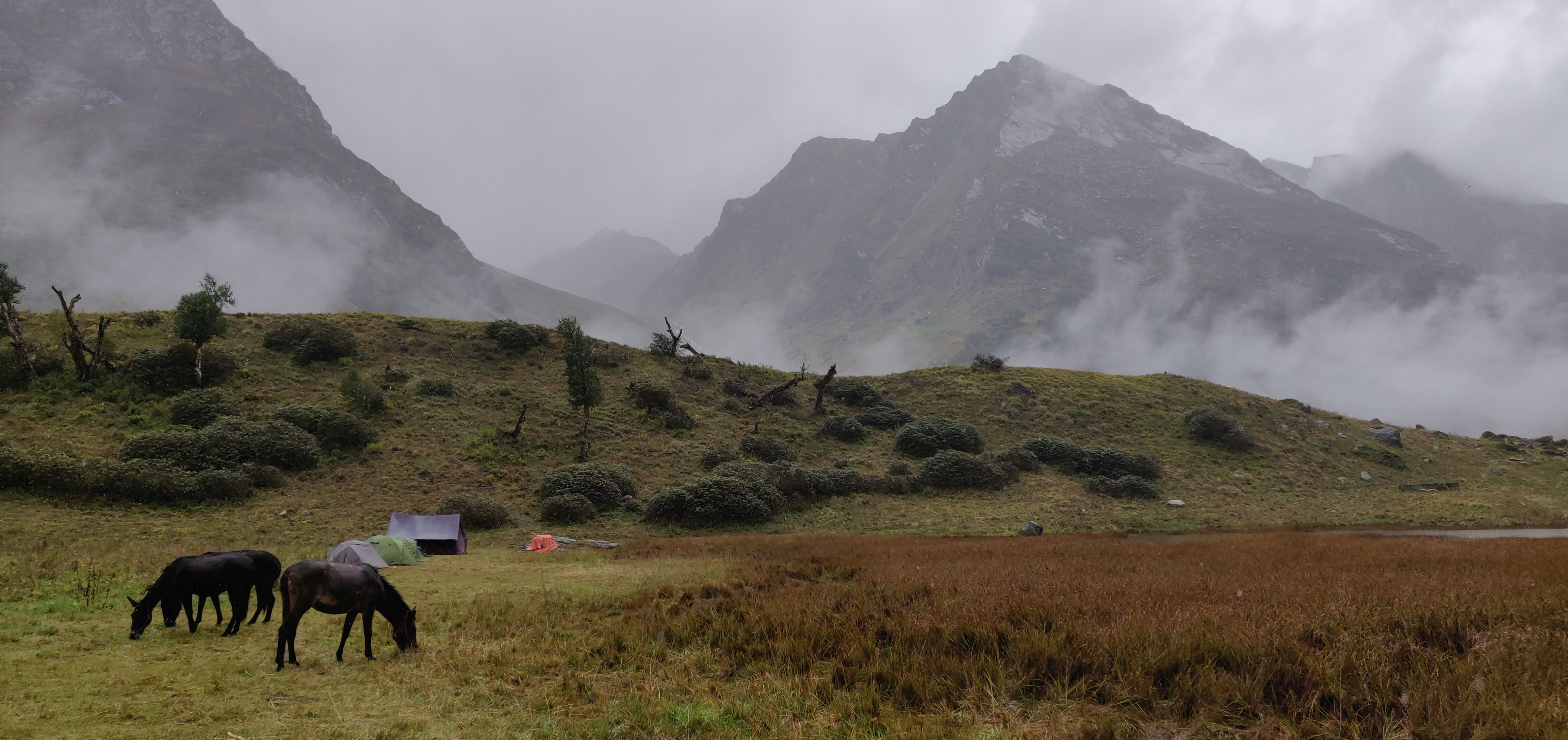 Himalayan peaks panorama