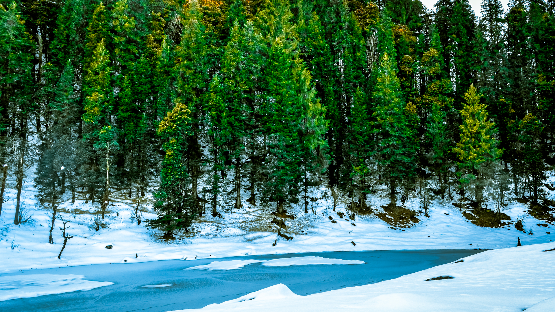 Frozen Juda Ka Talab