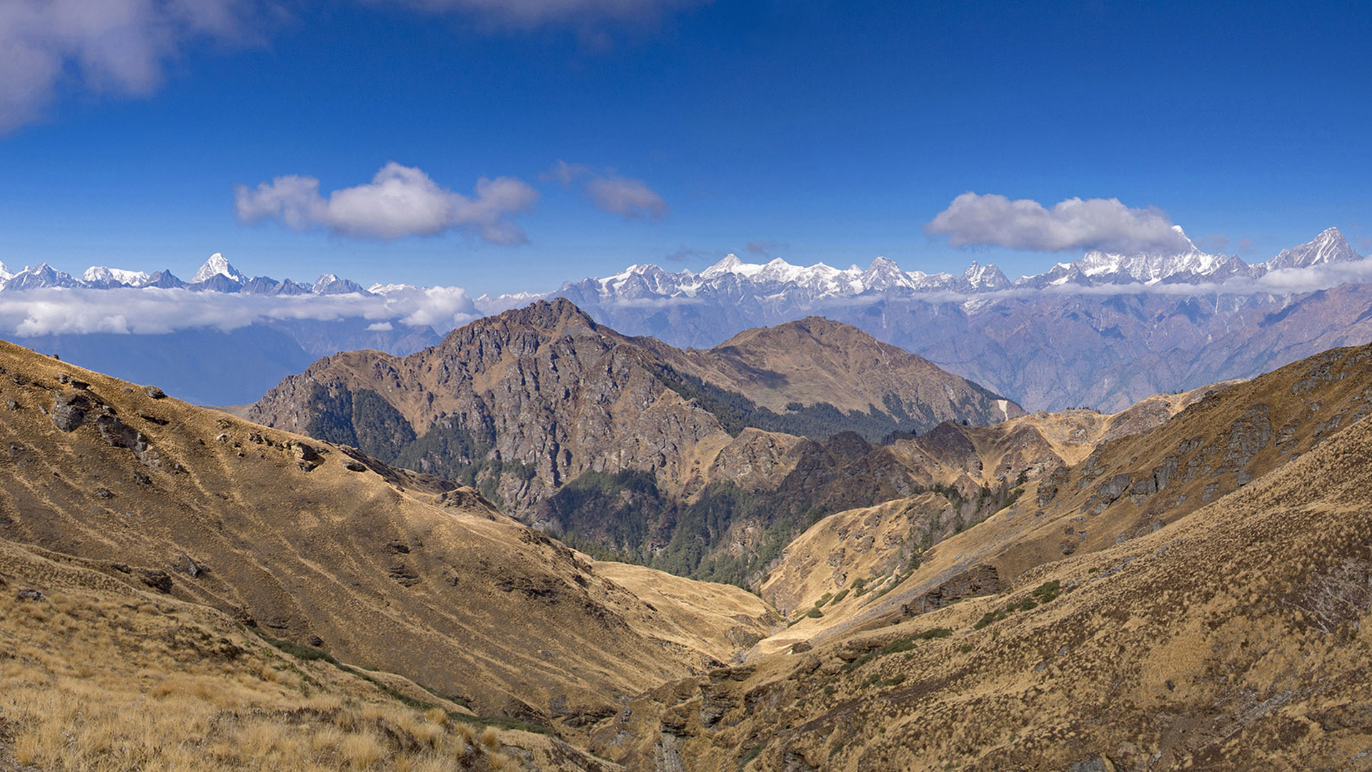 Panoramic Himalayan Views