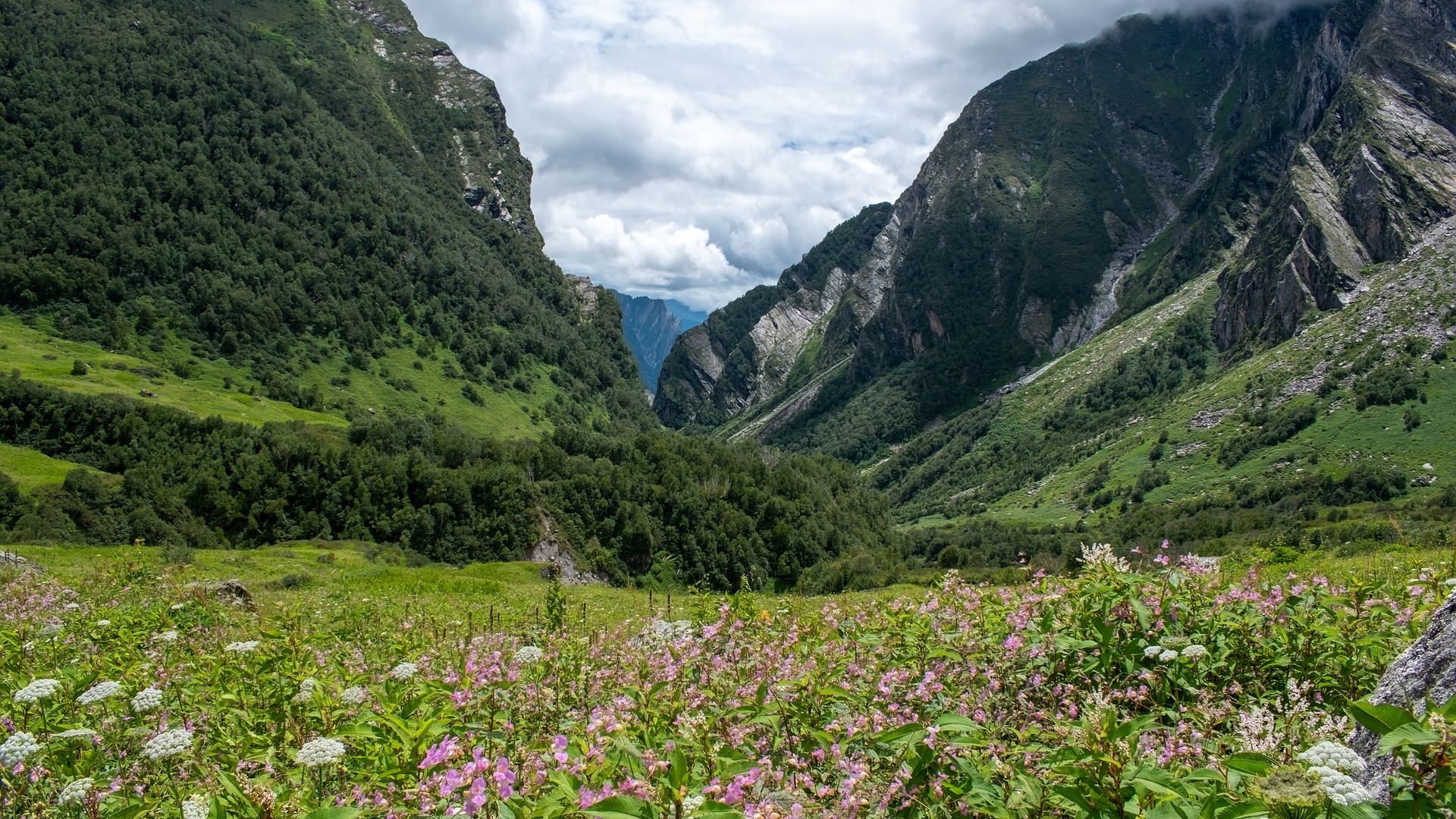 Valley of Flowers Trek